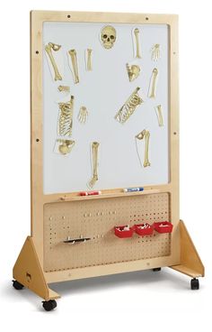 a wooden display case with skeleton bones and red shoes