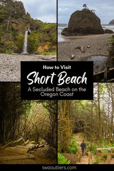 How to visit Short Beach, a secluded beach on the Oregon Coast Oceanside Oregon, Oregon Coast Hikes, Northern Oregon, Coastal Forest, A Short Hike