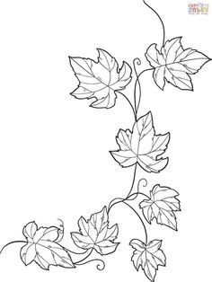 a vine with leaves on it is drawn in black and white, as well as the outline