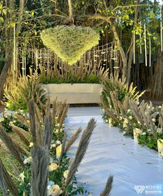 an outdoor garden with lots of plants and flowers on the ground, surrounded by trees