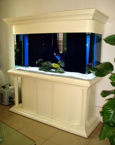 a fish tank sitting on top of a white counter next to a plant in a room