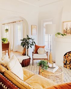 a living room filled with furniture and a fire place in front of a fireplace covered in potted plants