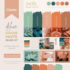 the color palettes in this brochure are peach, blue and green with orange accents