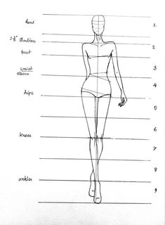 a drawing of a woman's body, with the names and description on it