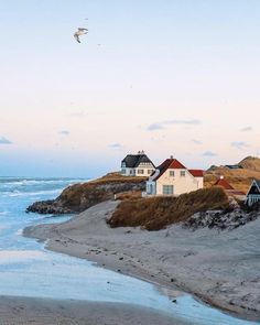 a bird flying over some houses on the beach