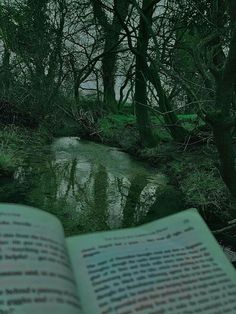 an open book sitting on top of a lush green forest