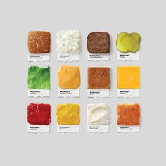 the different types of food are shown in this image, with each individual being colored