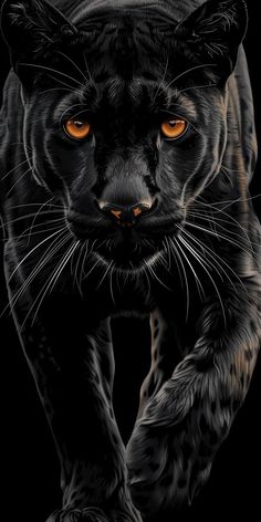 a black leopard with orange eyes on a black background