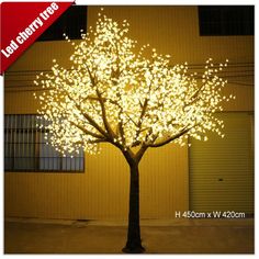 a lighted tree in front of a building