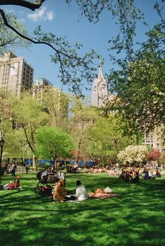 people sitting on the grass in central park