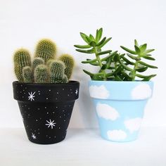 two potted plants sitting next to each other