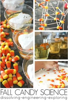 the fall candy science experiment is fun for kids and adults to do with their favorite halloween treats