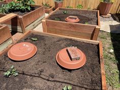 several raised garden beds filled with dirt and plants