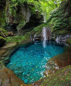 a small pool in the middle of a forest filled with trees and rocks, surrounded by greenery