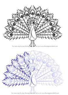 how to draw a peacock's tail with pencils and markers step by step