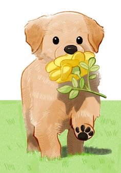 a dog holding a bunch of flowers in it's mouth