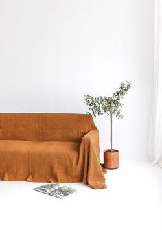 a couch with a blanket on it next to a potted plant in front of a white wall