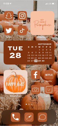 Fall IOS backgrounds for Iphone Cute Fall Icons Aesthetic, Cute Fall Widgets Ideas, App Organization Iphone Aesthetic Fall, Fall Theme Iphone Homescreen, Fall Wallpaper Aesthetic Widgets, Fall Wallpaper And Widgets, Fall Asethic Widget, Cute Halloween Phone Themes