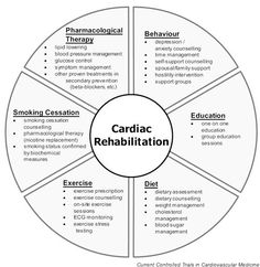 Cabg Surgery Nursing, Heart Stent, Exercise Physiologist, Exercise Science