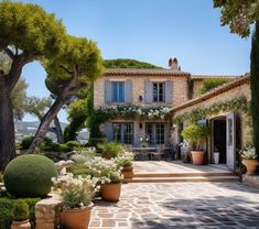 an outdoor area with potted plants and trees in front of a large stone house