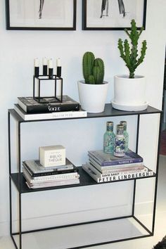 a shelf with some books and plants on it