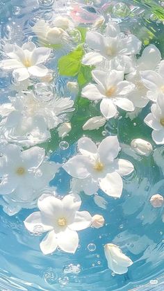 white flowers floating in blue water with green leafy plants on the side and bottom