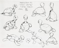 an image of turtle models drawn in pencil