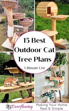 the best outdoor cat tree plans that are easy to make and great for any cat