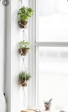 three potted plants are hanging on a window sill next to a cutting board