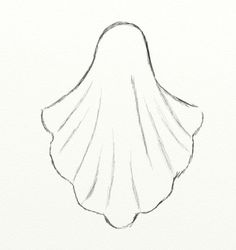 a drawing of a shell on a white paper