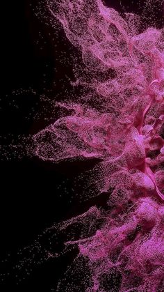 a close up view of pink flowers on a black background