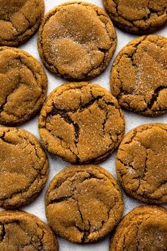 several chocolate cookies are arranged in rows on a sheet of parchment paper with powdered sugar