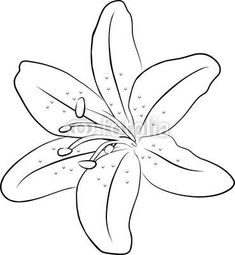 a flower that is blooming in the middle of it's petals, on a white