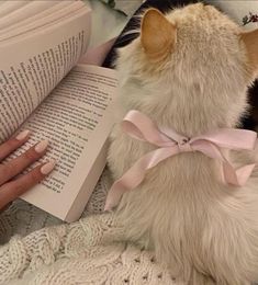 a person is reading a book with a cat on their lap