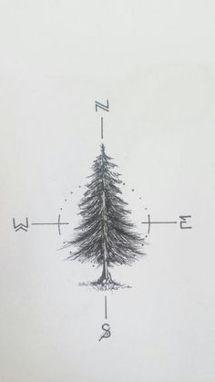 a black and white drawing of a pine tree with arrows pointing in the opposite direction