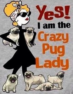 a woman wearing sunglasses and holding three pug puppies in front of her, says yes i am the crazy pug lady