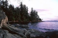 an ocean shore with trees and rocks in the foreground at sunset or dawn,