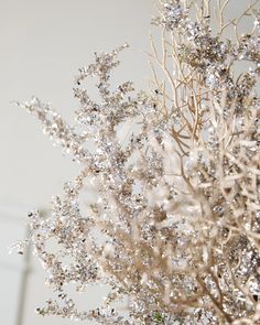 a vase filled with lots of silver and white flowers