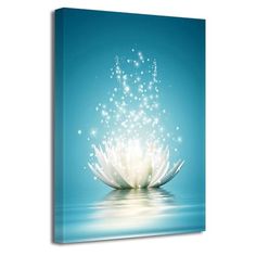 a white flower floating in water with sparkles on it's petals canvas wall art print