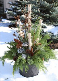 a potted plant in the snow with pine cones and evergreens on it's side