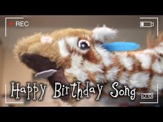 a happy birthday song with a stuffed animal