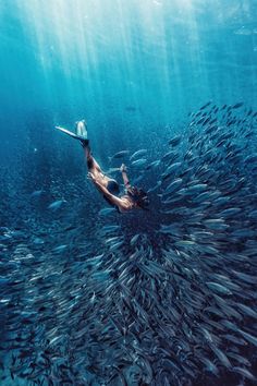 a woman is swimming in the ocean surrounded by school of fish, with her back turned to the camera