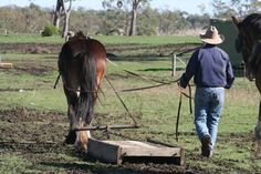 a man leading two horses in a field