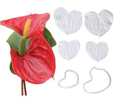 a red flower is next to white heart shaped cookie cutters