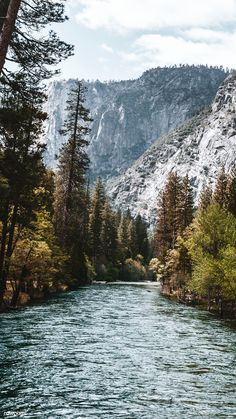 a river running through a forest filled with tall trees and snow covered mountains in the background