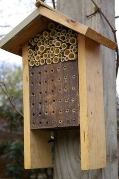 a wooden bird house with bees in it's nest hanging from a tree trunk