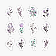 six stickers with different types of flowers and leaves on them, all in purple