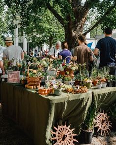 people standing around a table covered in plants