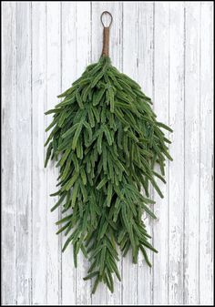 a bunch of green leaves hanging on a white wooden wall