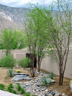 an outdoor garden with rocks and trees